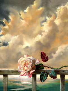 роза, облака, живопись, свежесть, цветок