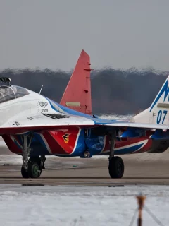 Ми-29, аэродром, стрижи