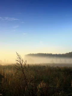 поле, туман, лето, природа, знак