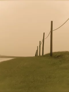дорога, столбы, вечер
