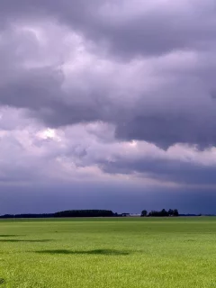 поле, пейзаж, небо, дорога, дерево