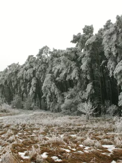 поле, небо, пейзаж