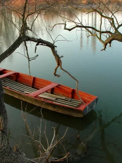 озеро, природа, лодка