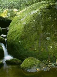водопад, камни, мох