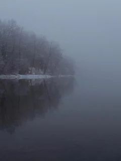 зима, деревья, вода, отражение