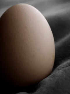 черная, ткань, яйцо