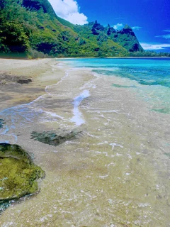 берег, волны, море, пляж, вода, солнце, природа