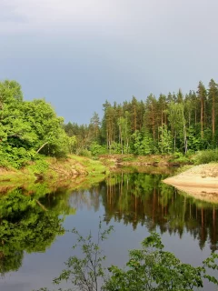 природа, пейзаж, озеро, лес