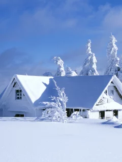 небо, снег, зима, дом, холод, ели