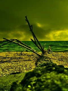 море, облака, дерево, песок, коряга, HDR, пляж, берег, резкость, лето