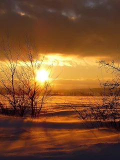 метель, закат, зима, пейзаж