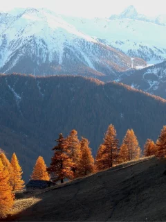 горы, пейзаж, природа