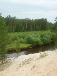 природа, лес, речка