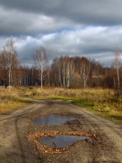 дорога, деревья, природа, небо