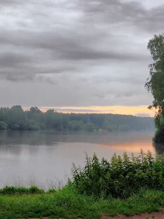 деревья, небо, река