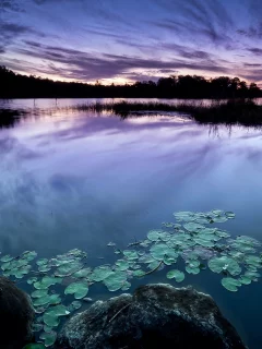 закат, озеро, гладь, природа, вода