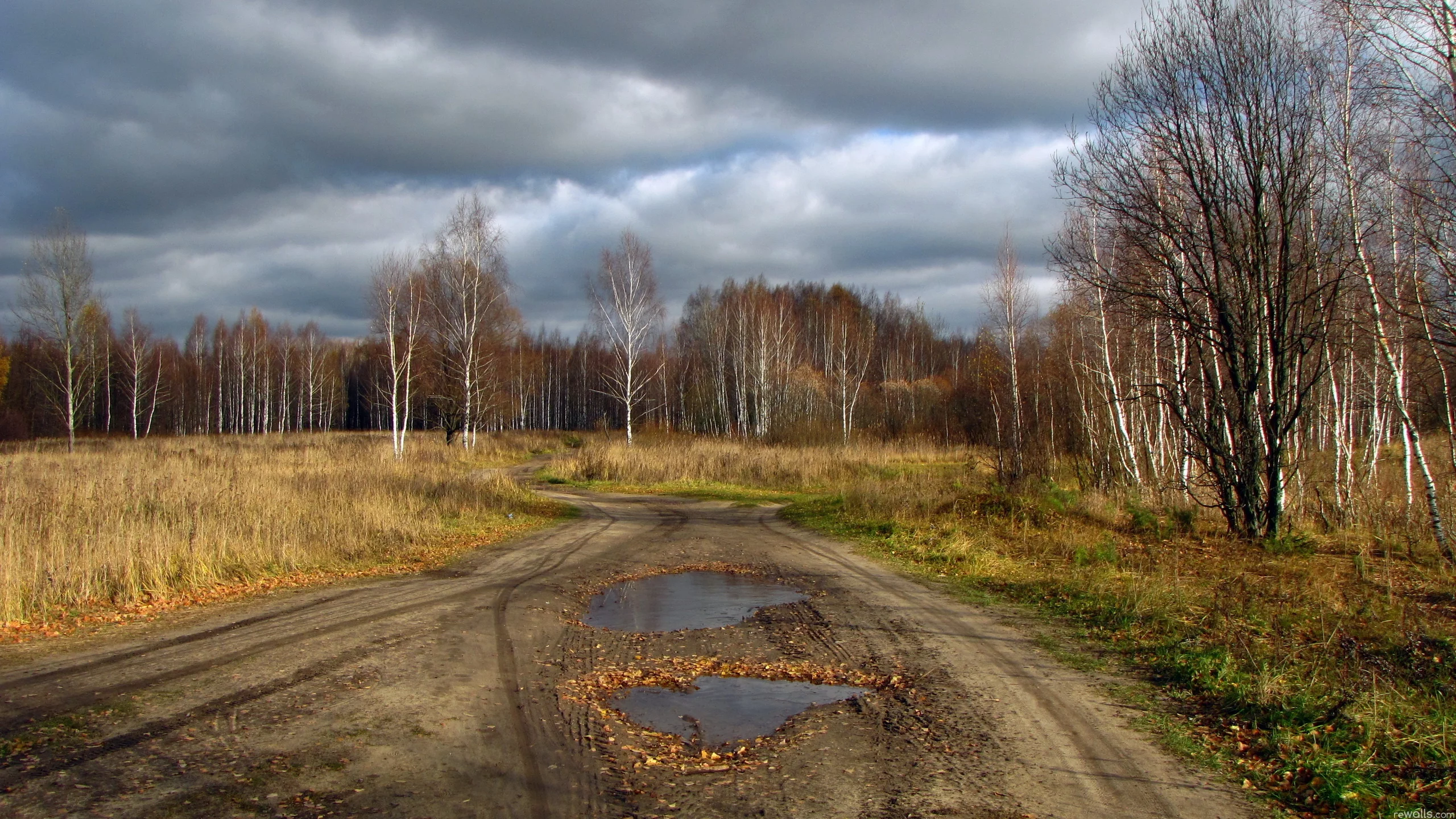 дорога, деревья, природа, небо