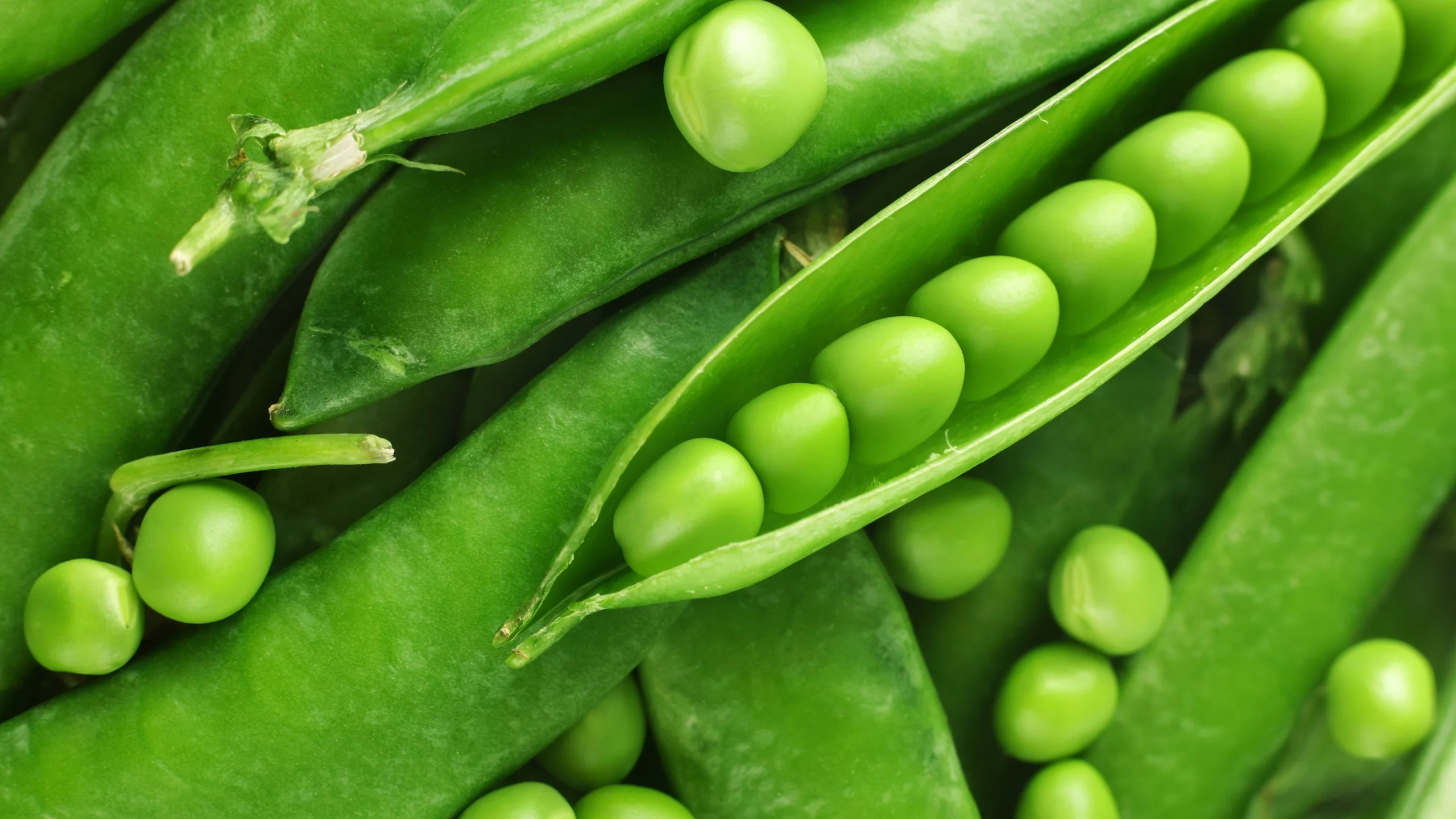 макро, горох, стручки