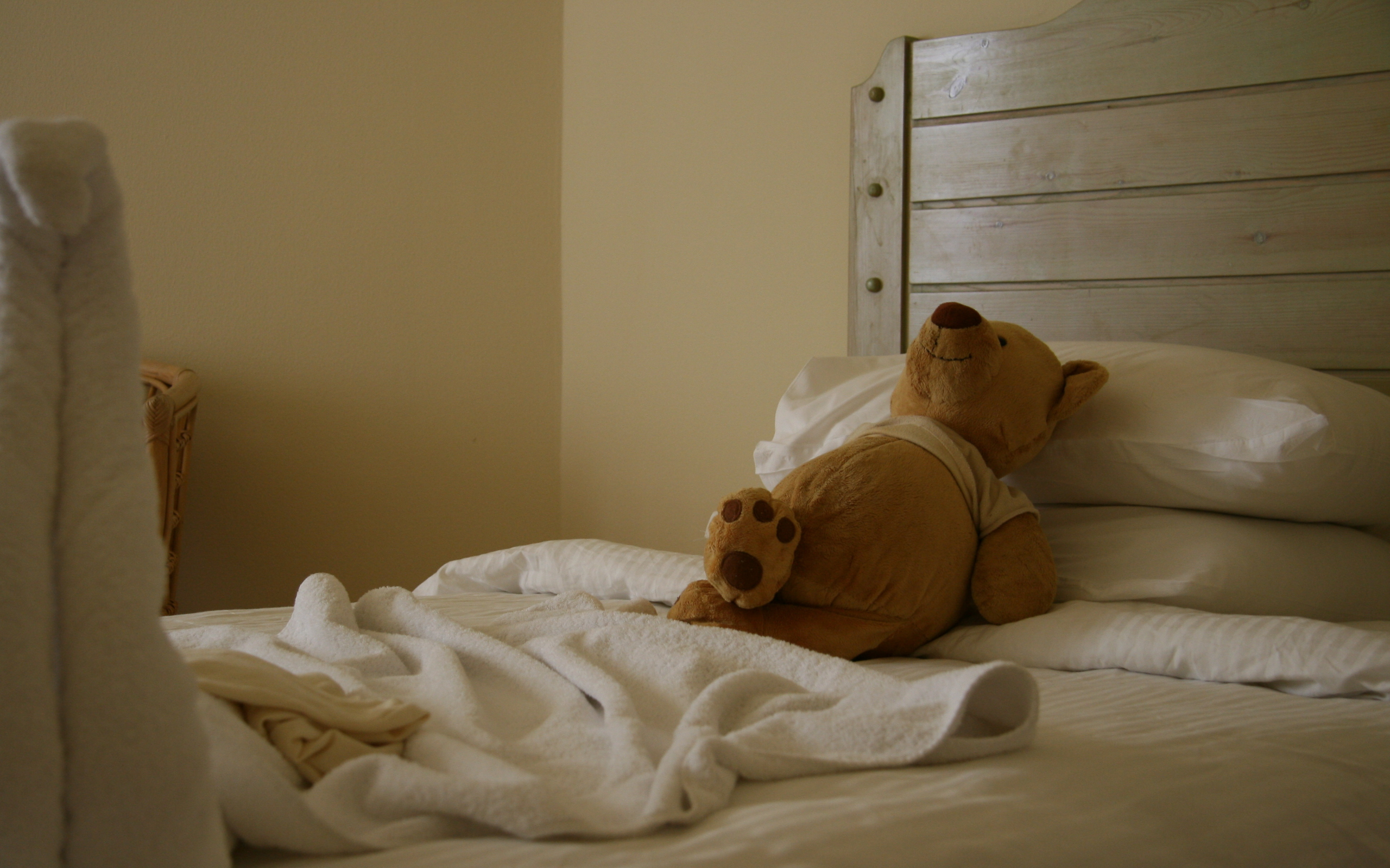 медведь, кровать, настроение, игрушка, отель, радость, сон, отдых