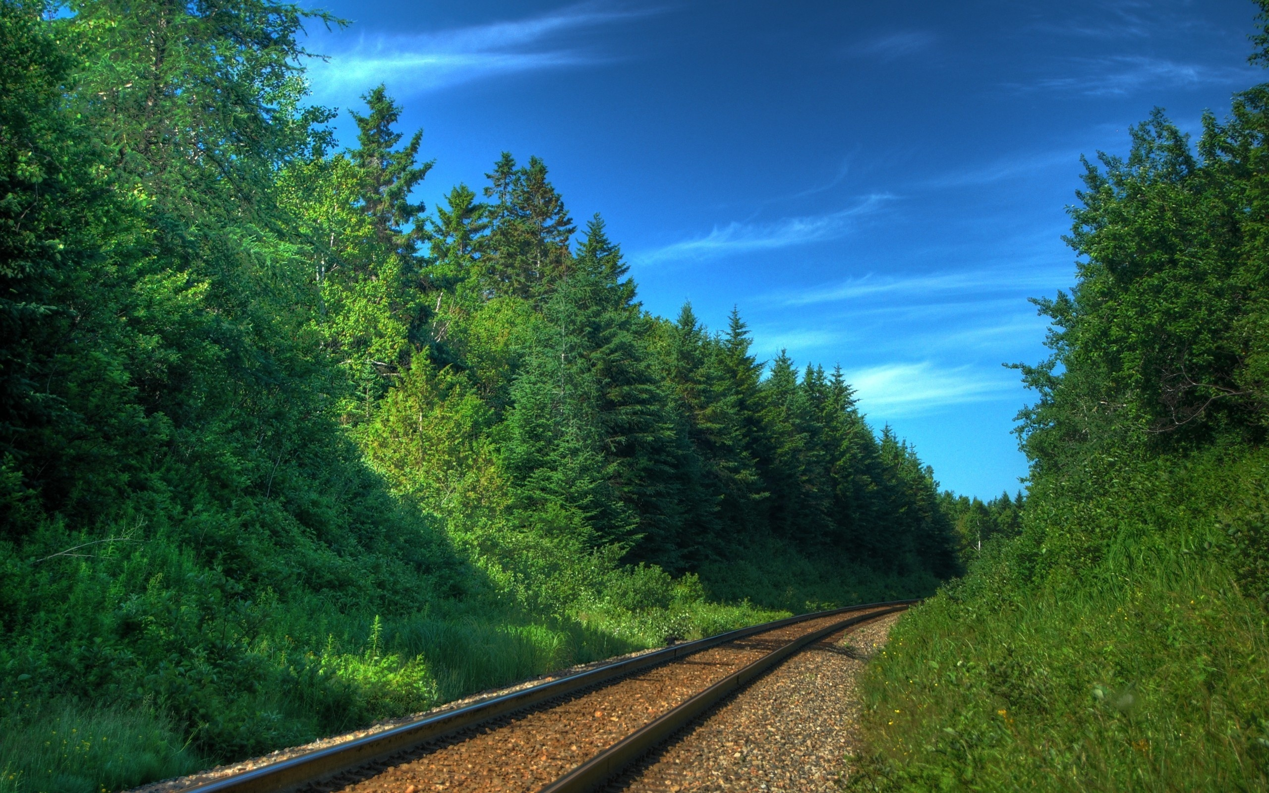поезда, шпалы, железная дорога, железные дороги, природа, фото, деревья, леса, пути, транспорт, рельсы