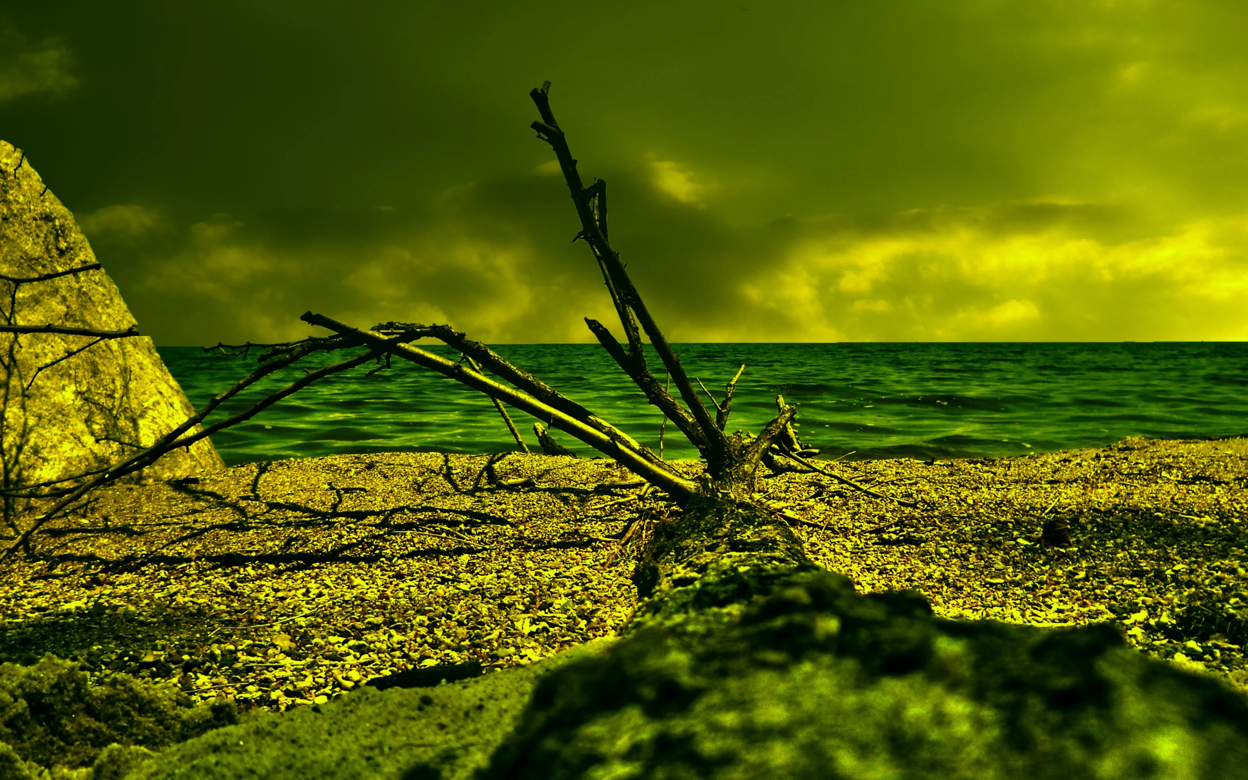 море, облака, дерево, песок, коряга, HDR, пляж, берег, резкость, лето