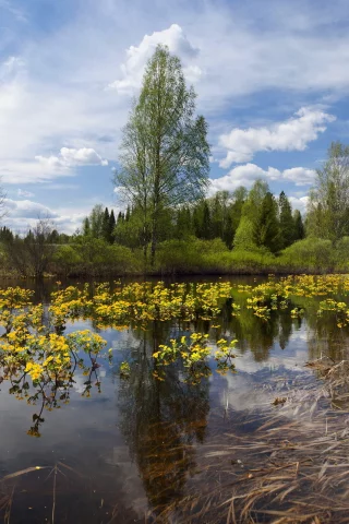 река, небо, лето