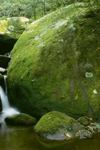 водопад, камни, мох