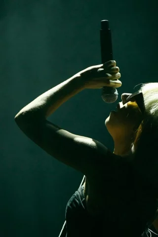 певица, актриса, леди ГАГА, lady gaga, эпатаж