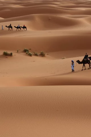 туристы, пустыня