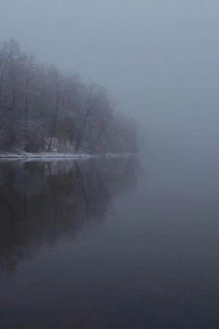 зима, деревья, вода, отражение