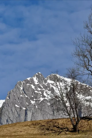 дерево, гора, небо, природа