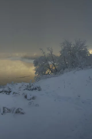 зима, природа, снег, ночь