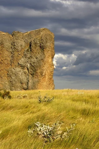 поле, природа, скала, небо