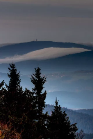 пейзаж, туман, вечер