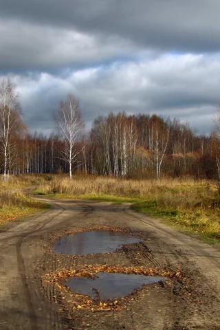 дорога, деревья, природа, небо