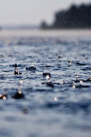 мокро, вода, капли, дождь, ливень, капля, ливни, макро обои, дожди