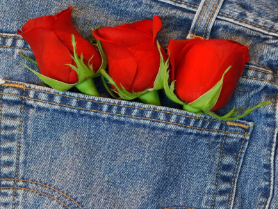 в кармане, Три, розы