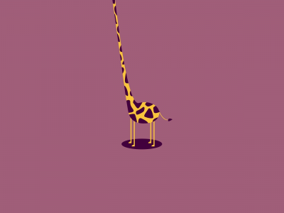 фон, шея, жираф