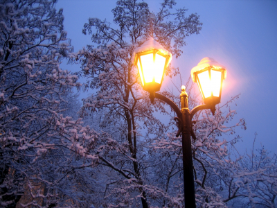 мороз, природа, холод, свет, фонарь, снег, зима, ветки, вечер, деревья