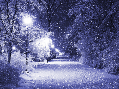 ночь, парк, зима, деревья, снег, фонари