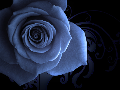 узорный фон, заставка, голубая роза