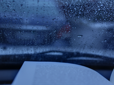 серость, вечер, книга, стекло, дождь, настроение, авто, машина, капли