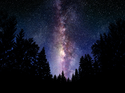 лес, ночь, небо, пейзажи, фото, космос, обои, звёзды, млечный путь