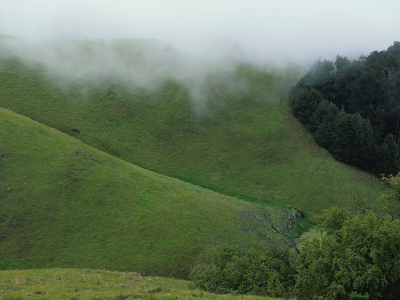 туман, холмы, зеленый