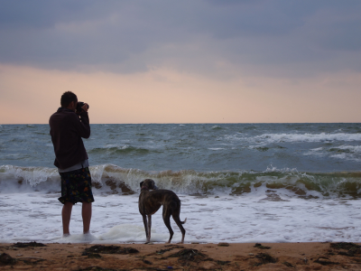 собака, море, человек, волны