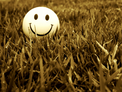 улыбка, трава, настроение, смайл