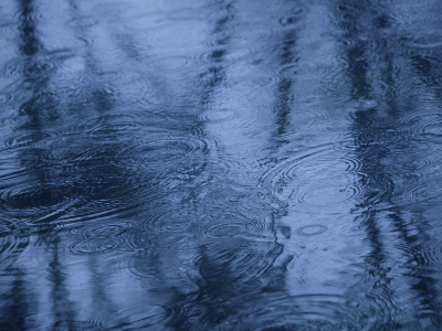 осень, отражение, дождь, вода, лужа