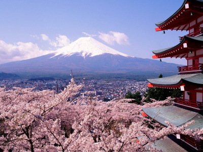 город, весна, гора, пагода, сакура, фудзияма, токио