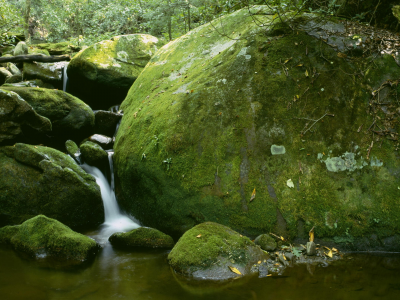 водопад, камни, мох