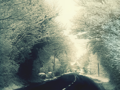 дорога, деревья, снег